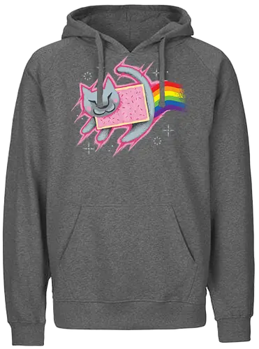 The Nyan King - lion, löwe, könig, king, nyan cat, nyan, cat, katze, meme, poptart, rainbow, unicorn, regenbogen - Fairtrade Hoodie