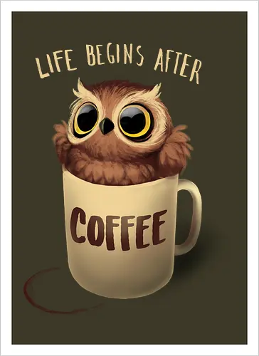 Night Owl