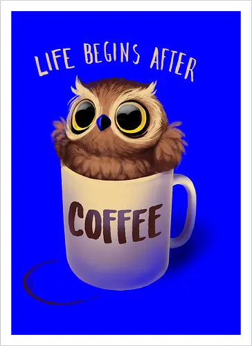 Night Owl