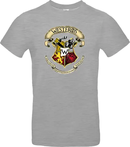 Westeros School