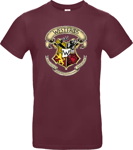 Westeros School