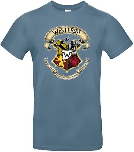 Westeros School - literatur, serie, fantasy, eis, feuer, ein lied, a song of, ice and fire, throne, game, mashup, houses, school, dragon, lion, wolf, stag - Standard T-Shirt