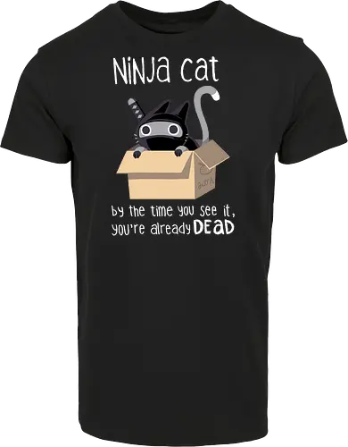Ninja cat