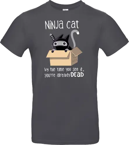 Ninja cat