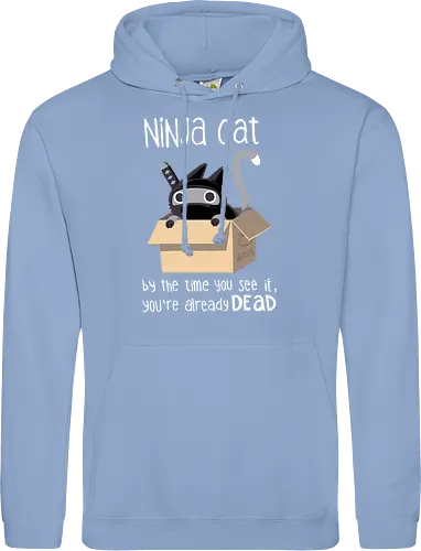 Ninja cat