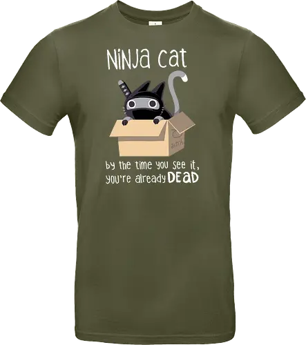 Ninja cat