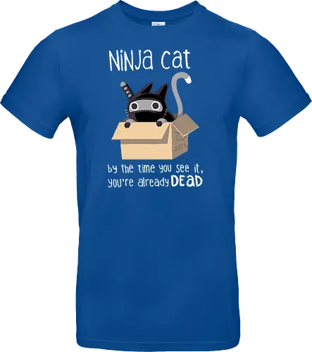 Ninja cat
