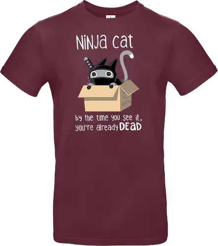 Ninja cat