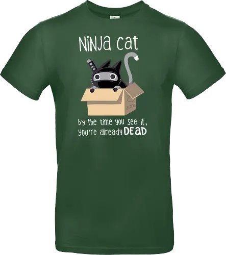 Ninja cat