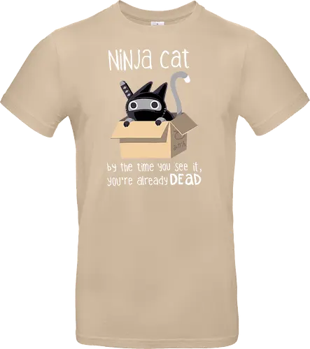 Ninja cat