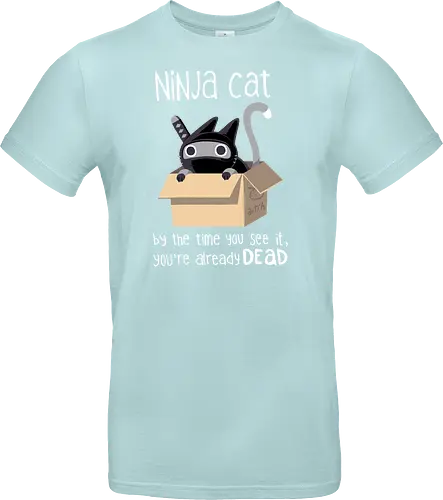 Ninja cat