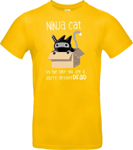 Ninja cat