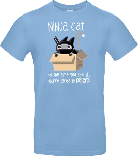 Ninja cat