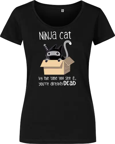 Ninja cat