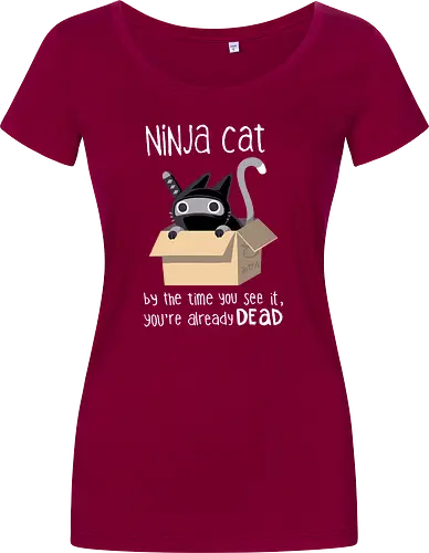 Ninja cat