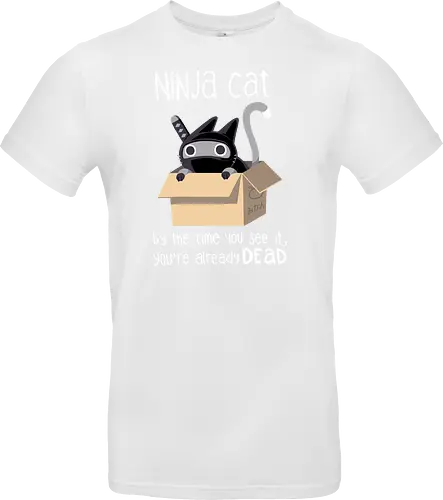 Ninja cat