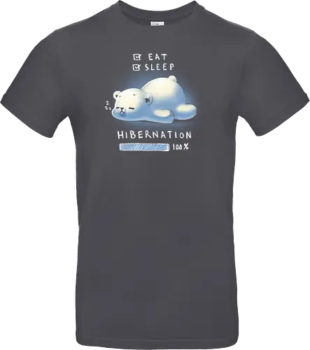 Hibernation