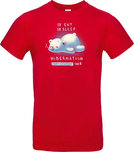 Hibernation