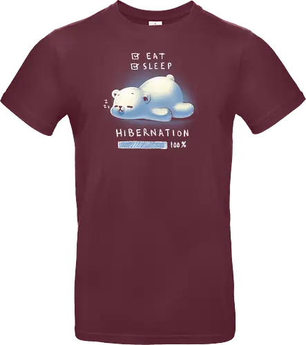 Hibernation