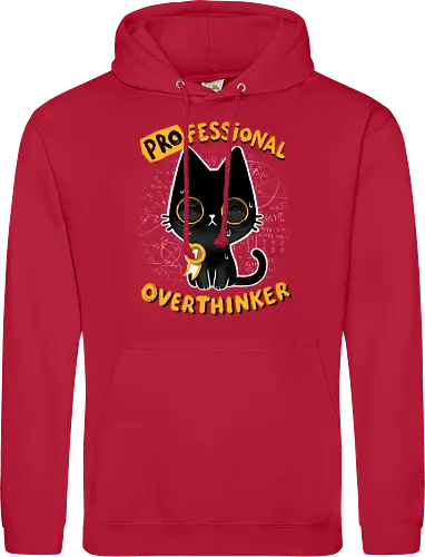 Professional Overthinker