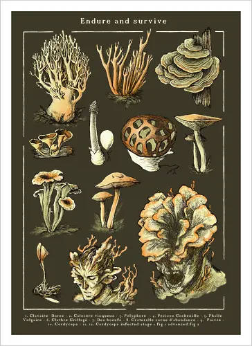 Endure and survive - Cordyceps dark