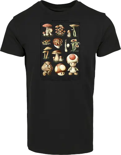 Mushroom Kingdom