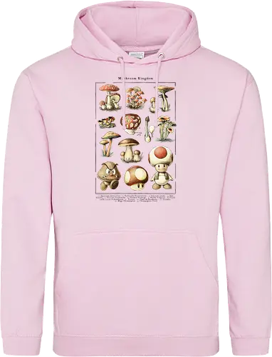 Mushroom Kingdom