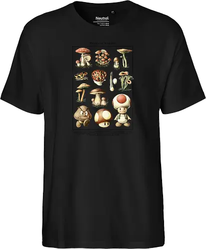 Mushroom Kingdom