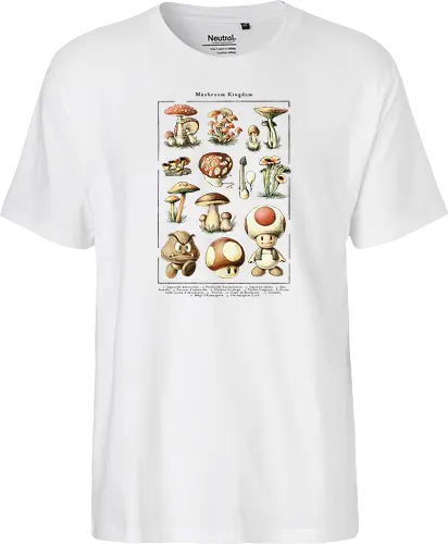 Mushroom Kingdom
