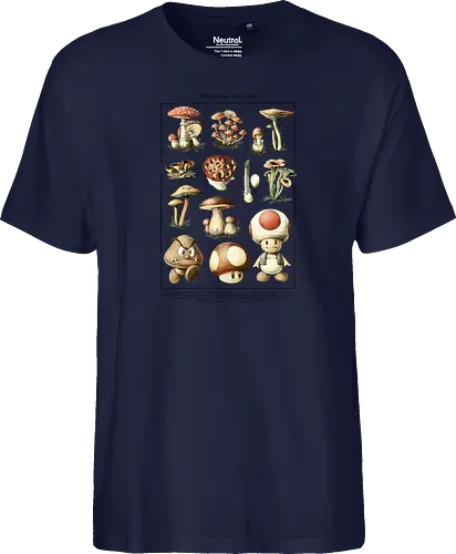 Mushroom Kingdom