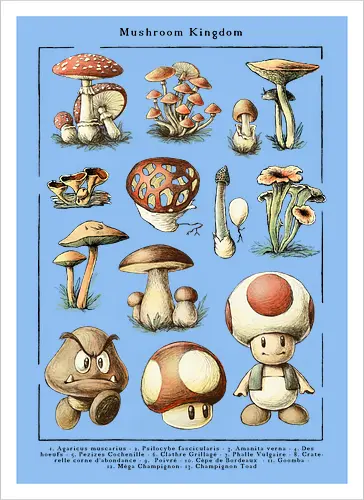 Mushroom Kingdom
