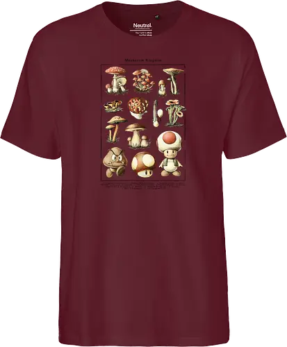 Mushroom Kingdom