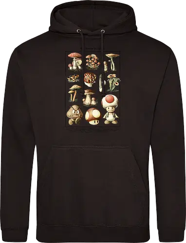 Mushroom Kingdom