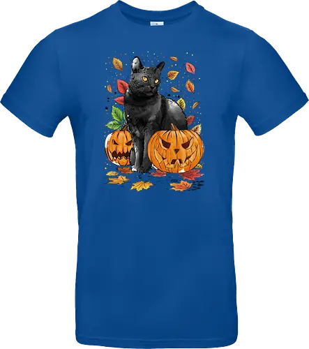 Cat Leaves and Pumpkins