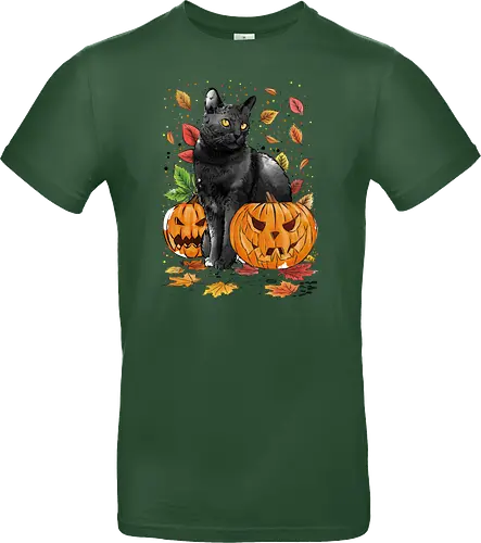 Cat Leaves and Pumpkins