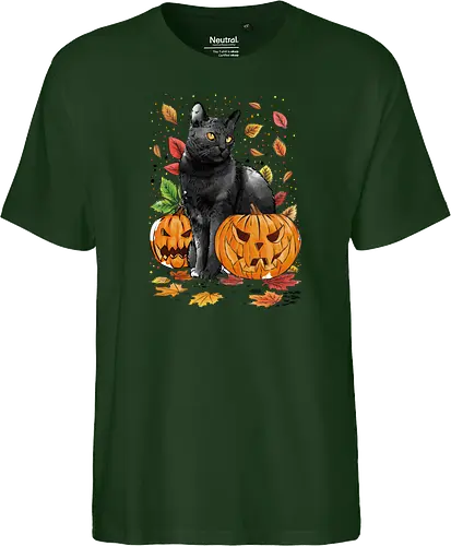 Cat Leaves and Pumpkins