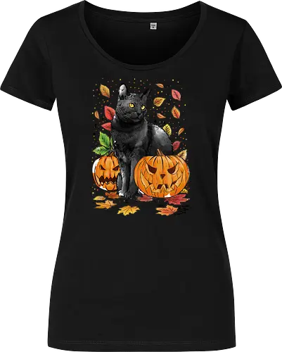 Cat Leaves and Pumpkins