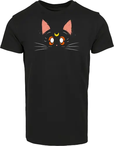 Luna cat