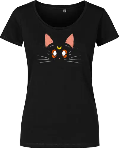 Luna cat