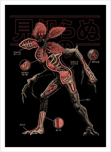 Demos Anatomy
