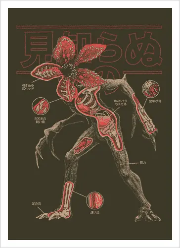 Demos Anatomy