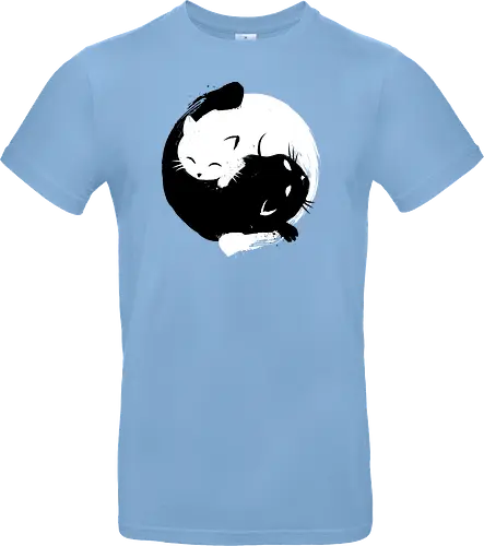 Yin Yang cats