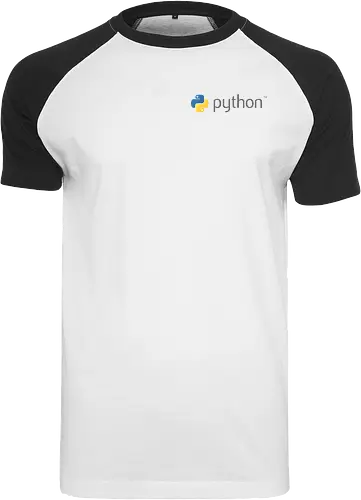 Python Logo