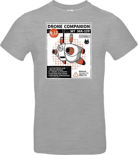 Drone companion