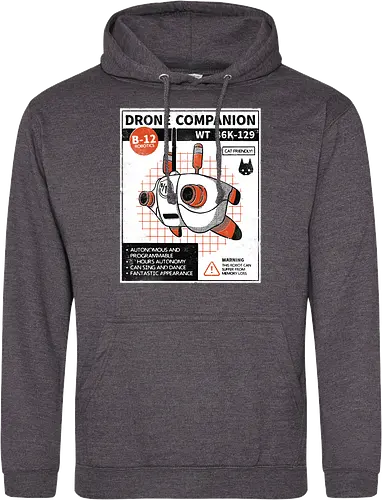 Drone companion