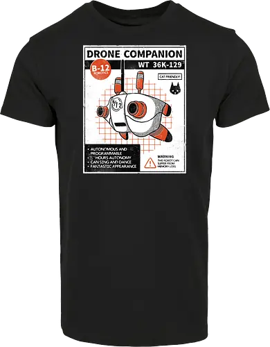 Drone companion