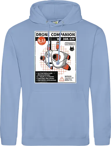 Drone companion
