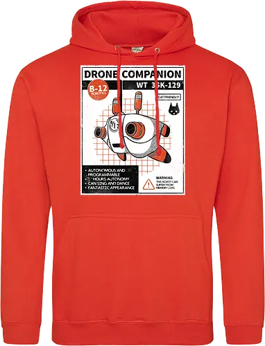 Drone companion