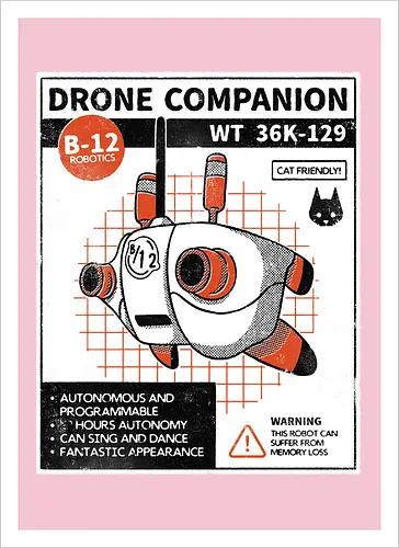 Drone companion