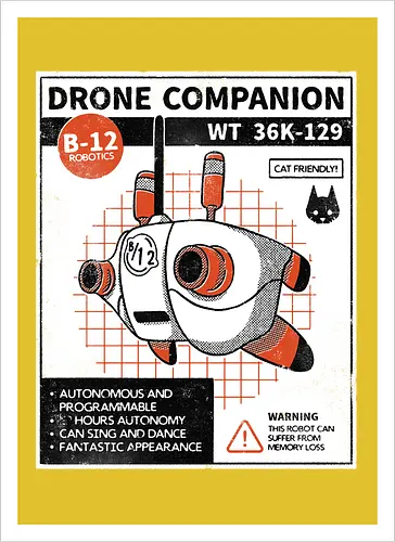 Drone companion